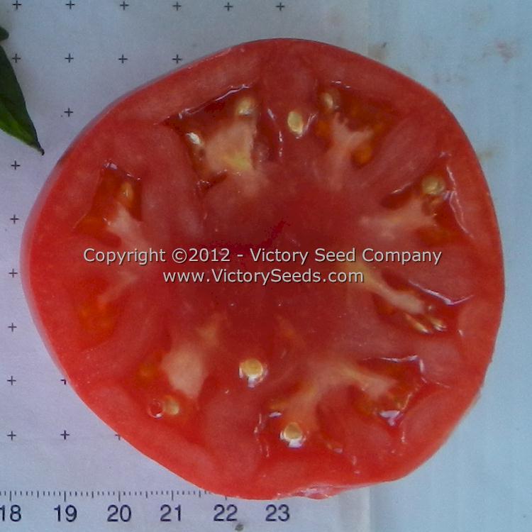 Peak of Perfection Tomato