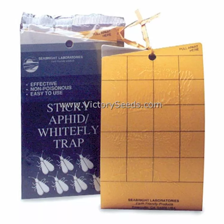 Yellow Sticky Aphid Whitefly Traps (Qty 5)