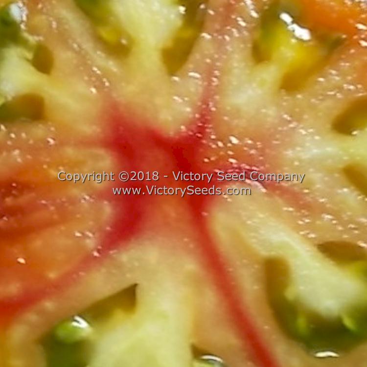 Dwarf Awesome Tomato