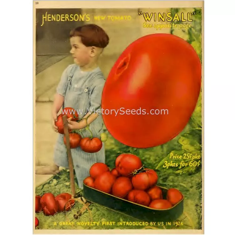 Winsall (aka Henderson's Winsall) Tomato