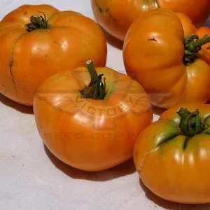 Kellogg's Breakfast Tomato