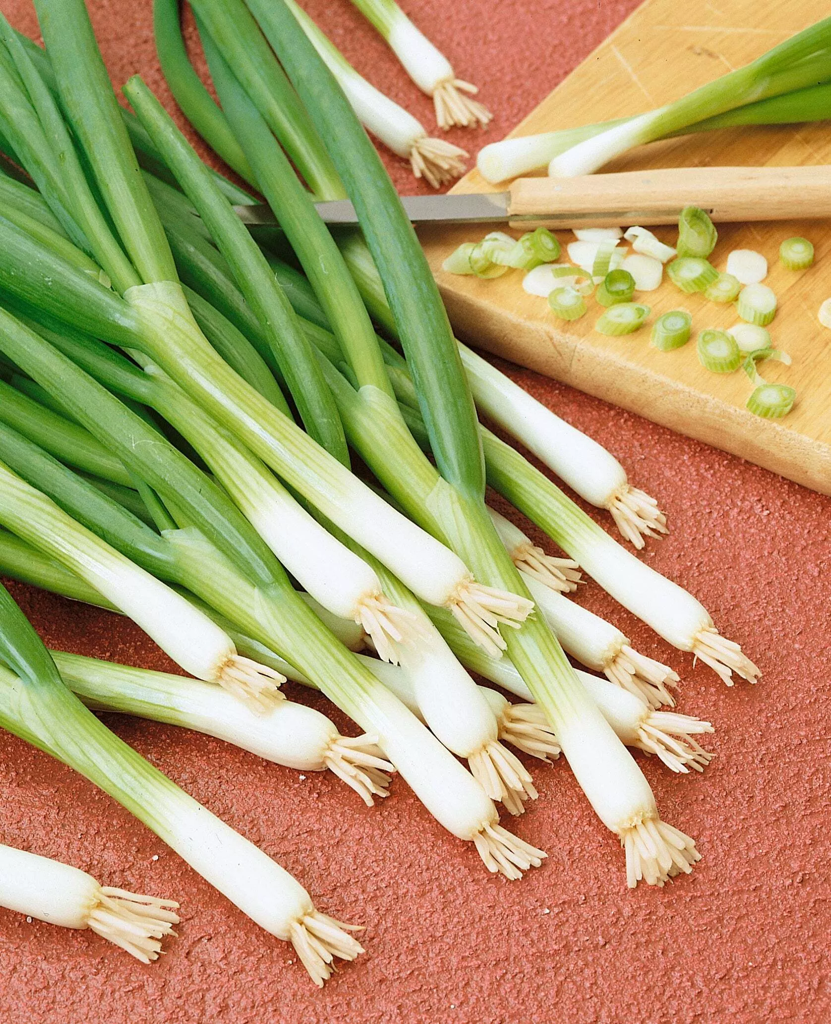 Warrior Bunching Onion