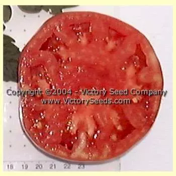 Jimmy Joe Tomato