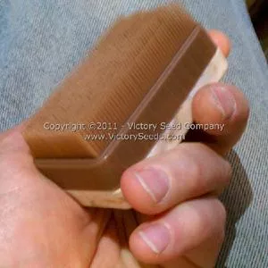 Potato Scrubbing Brush