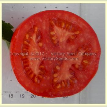 Aunt Edna Tomato