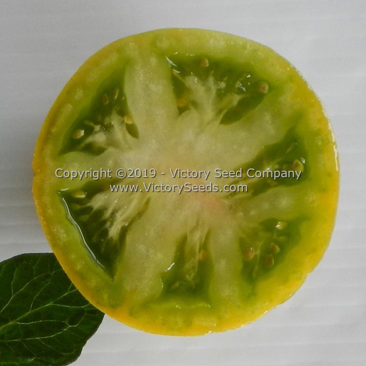 Dwarf Grinch Tomato