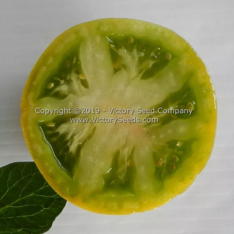Dwarf Grinch Tomato