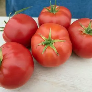 Burpee's Quarter Century Tomato