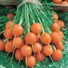 Parisian Carrot