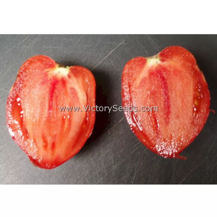 Cancelmo Family Heirloom Tomato