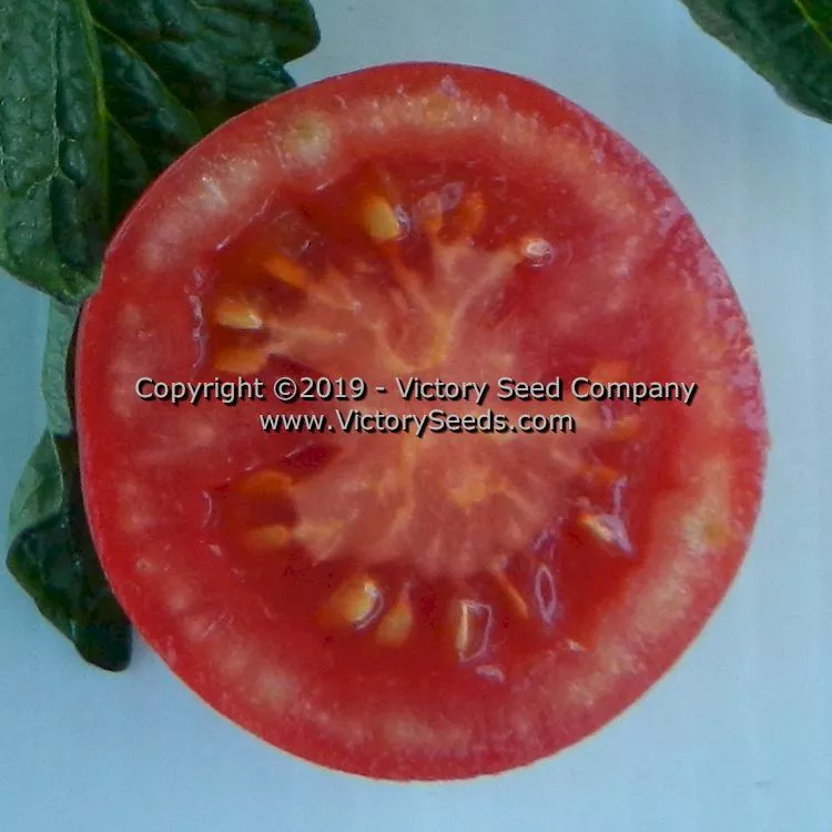 Clare Valley Pink Tomato