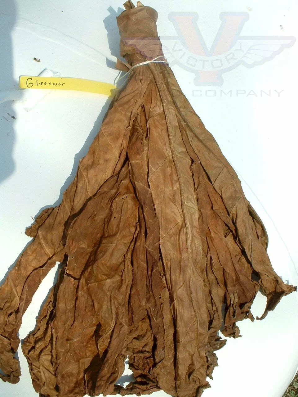 Glessnor Tobacco