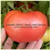 Tennessee Britches Tomato