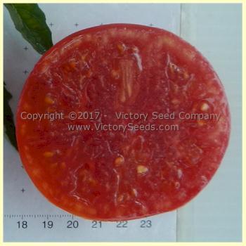 Missouri Pink Love Apple Tomato