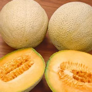 Honey Rock Melon