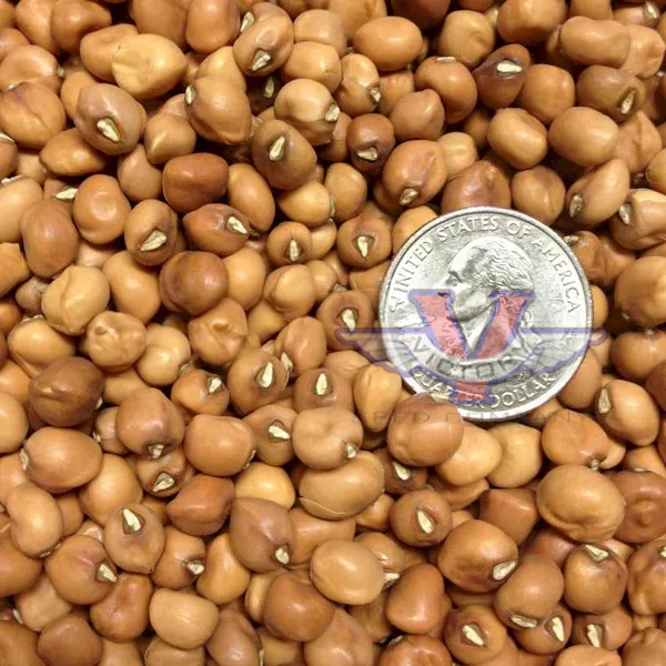 CT Dimpled Brown Crowder Southern Pea
