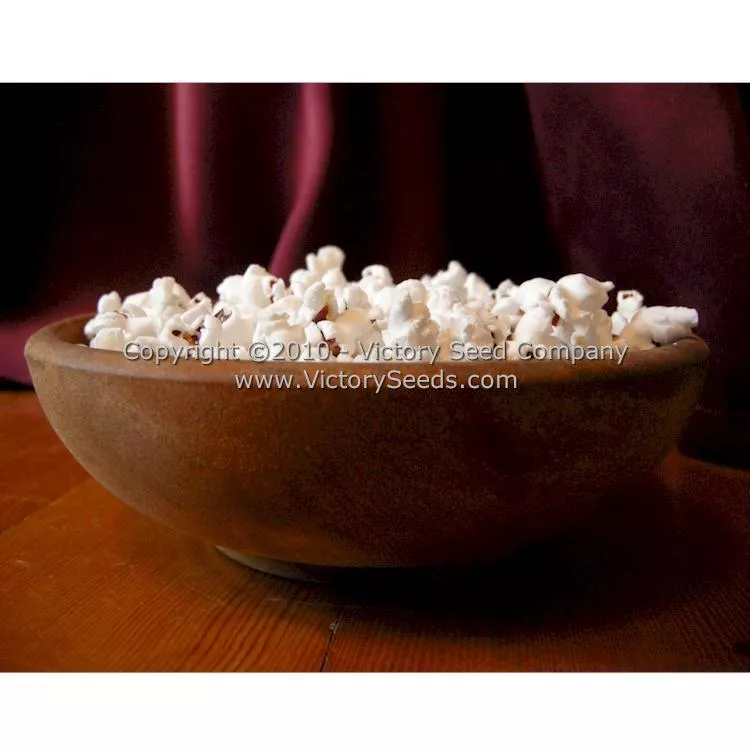 Red Strawberry Popcorn
