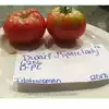 Dwarf Mystic Lady Tomato
