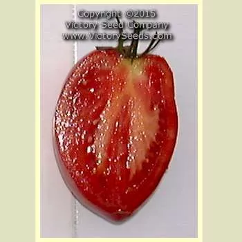 Mikarda Sweet Tomato