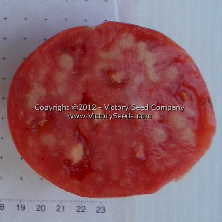 Cosner Tomato