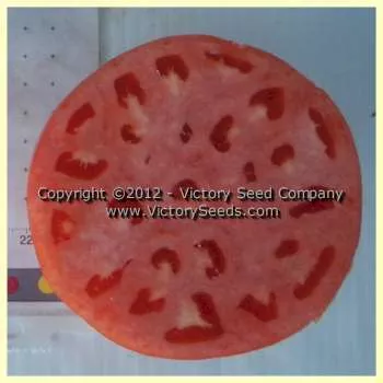 Mala Bishka Tomato