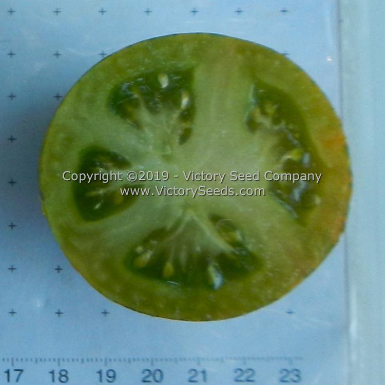 Dwarf Mint Streak Tomato