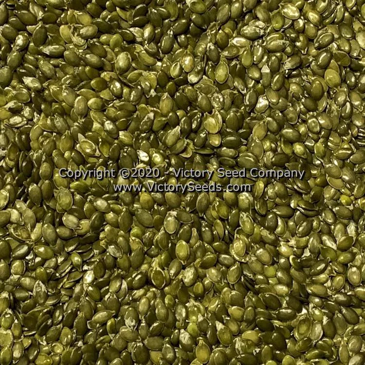 Williams Naked Seeded Pumpkin