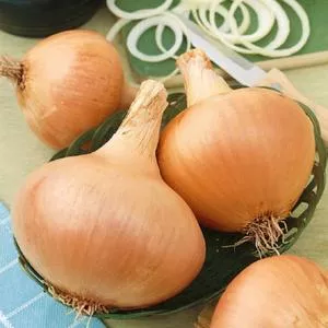 Texas Early Grano 502 PRR Onion