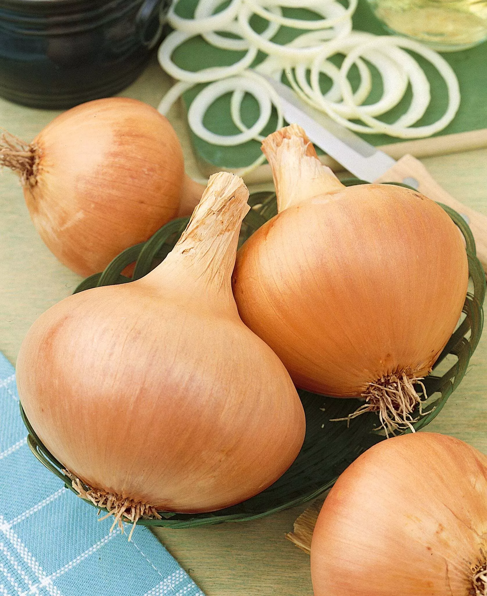 thumbnail image 2 of 1/4 Lb Texas Early Grano Onion Seeds - Everwilde Farms Mylar Packet, 2024, Heirloom, Open Pollinated 2 of 6