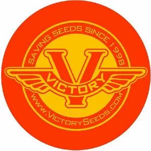 Sticker, 3.5