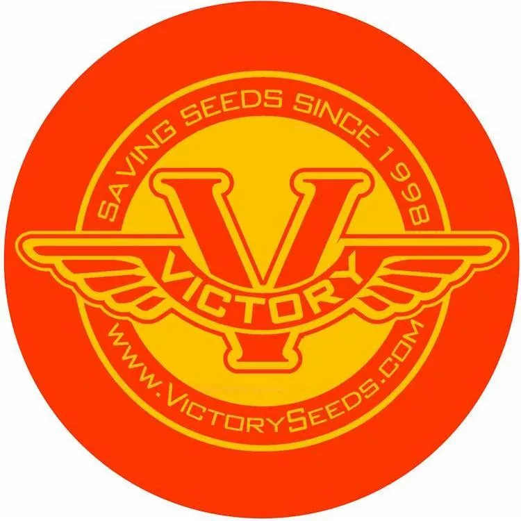 Sticker, 3.5" Round Red on Yellow Vinyl
