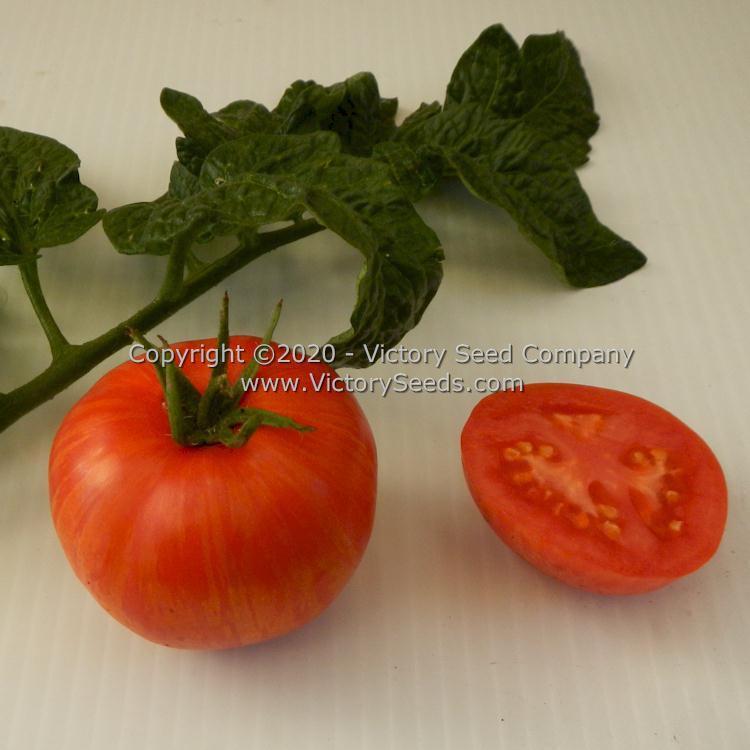 Dwarf Edith Stone Tomato