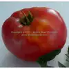 Waverley Tomato