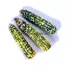 Green & Gold Dent Corn