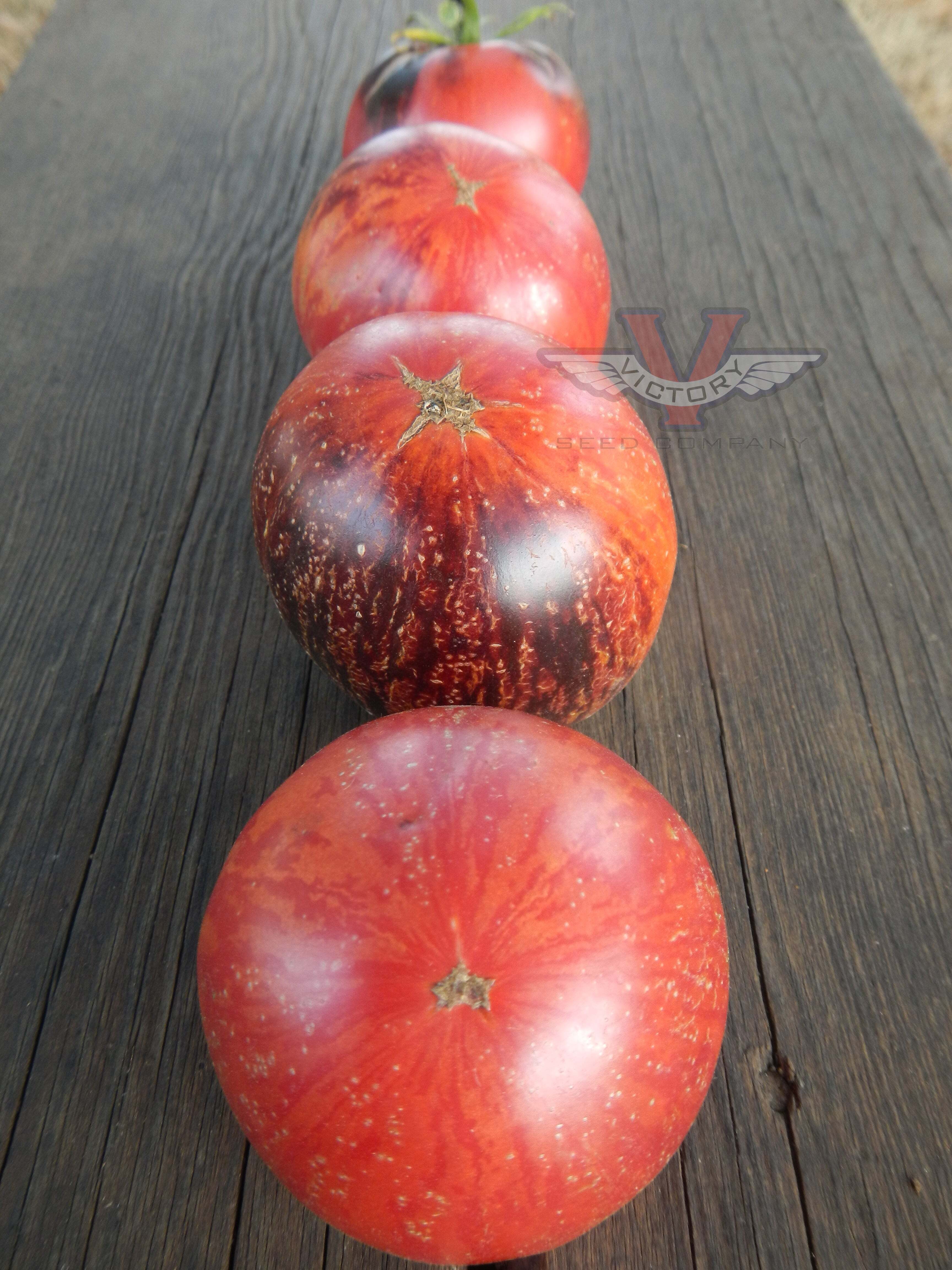 Gondwana Lightning Tomato
