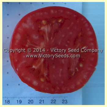 Tait's 'Trucker's Delight' Tomato