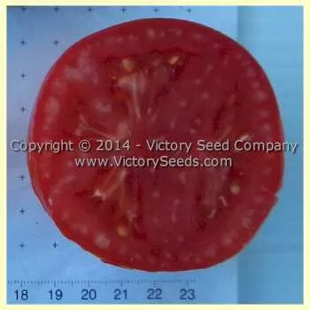 Tait's 'Trucker's Delight' Tomato