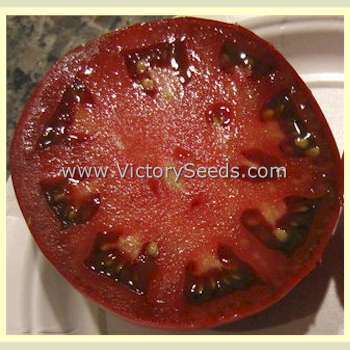 Maralinga Tomato