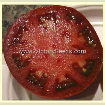 Maralinga Tomato