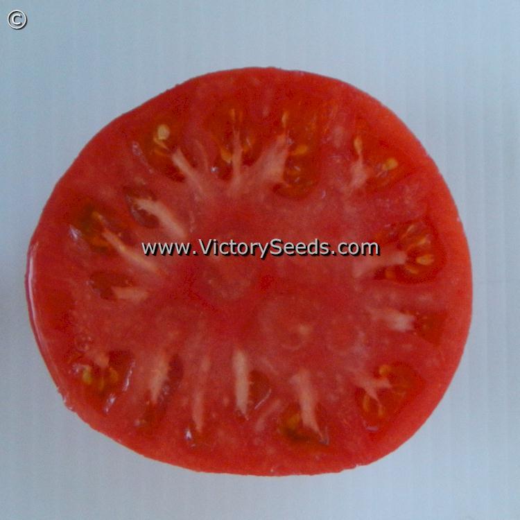 Dwarf Strawberry Lemonade Tomato