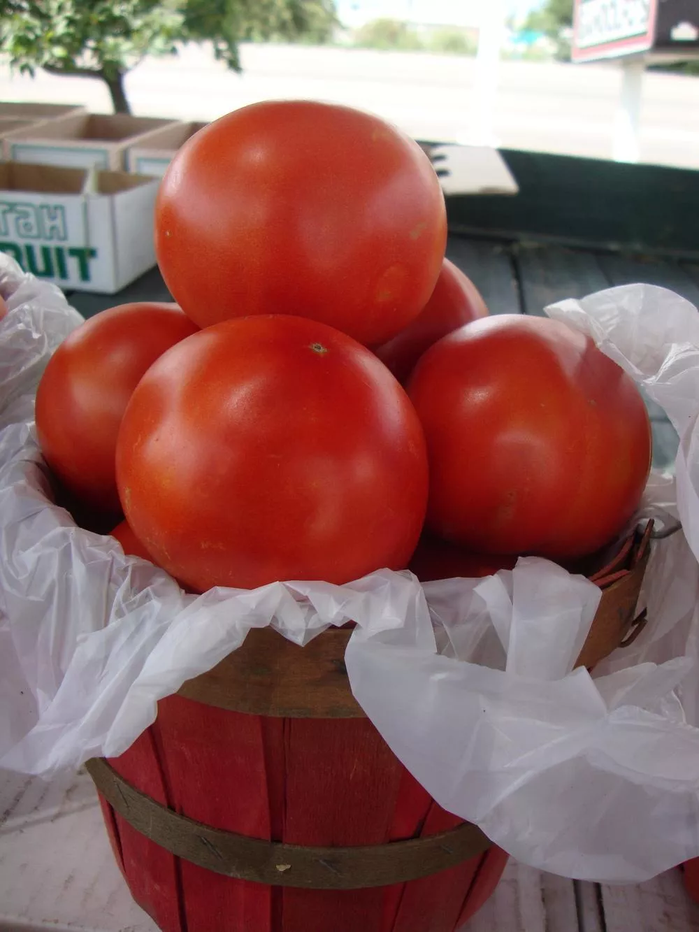 Better Boy F1 Tomato