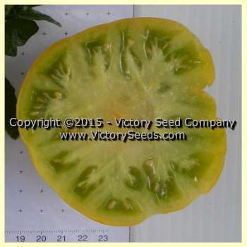 Big Green Dwarf Tomato