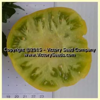 Big Green Dwarf Tomato
