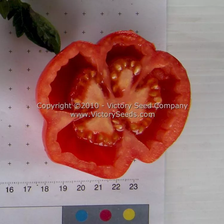 Red Stuffer Tomato