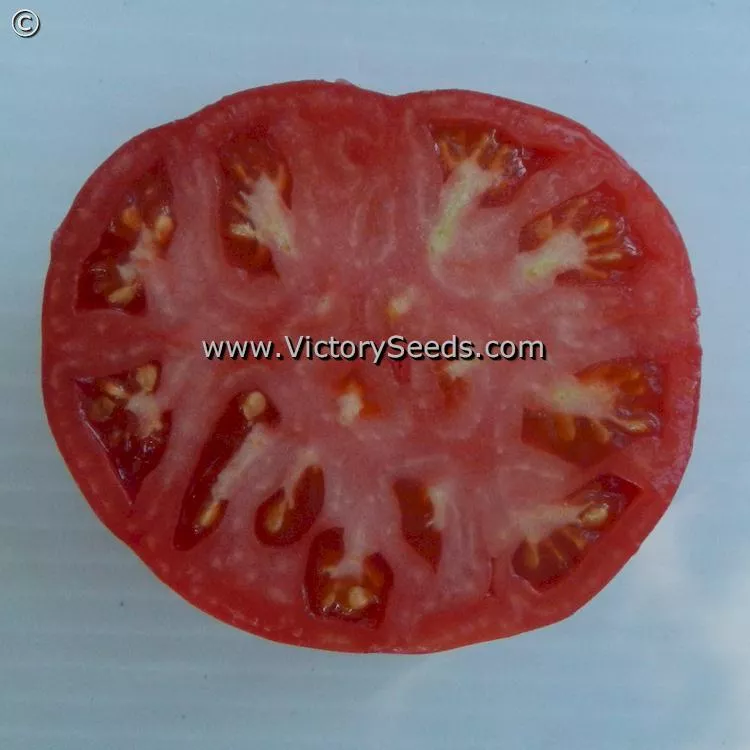 Cartwright's Mortgage Lifter Tomato