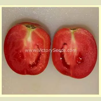 Saucy Tomato