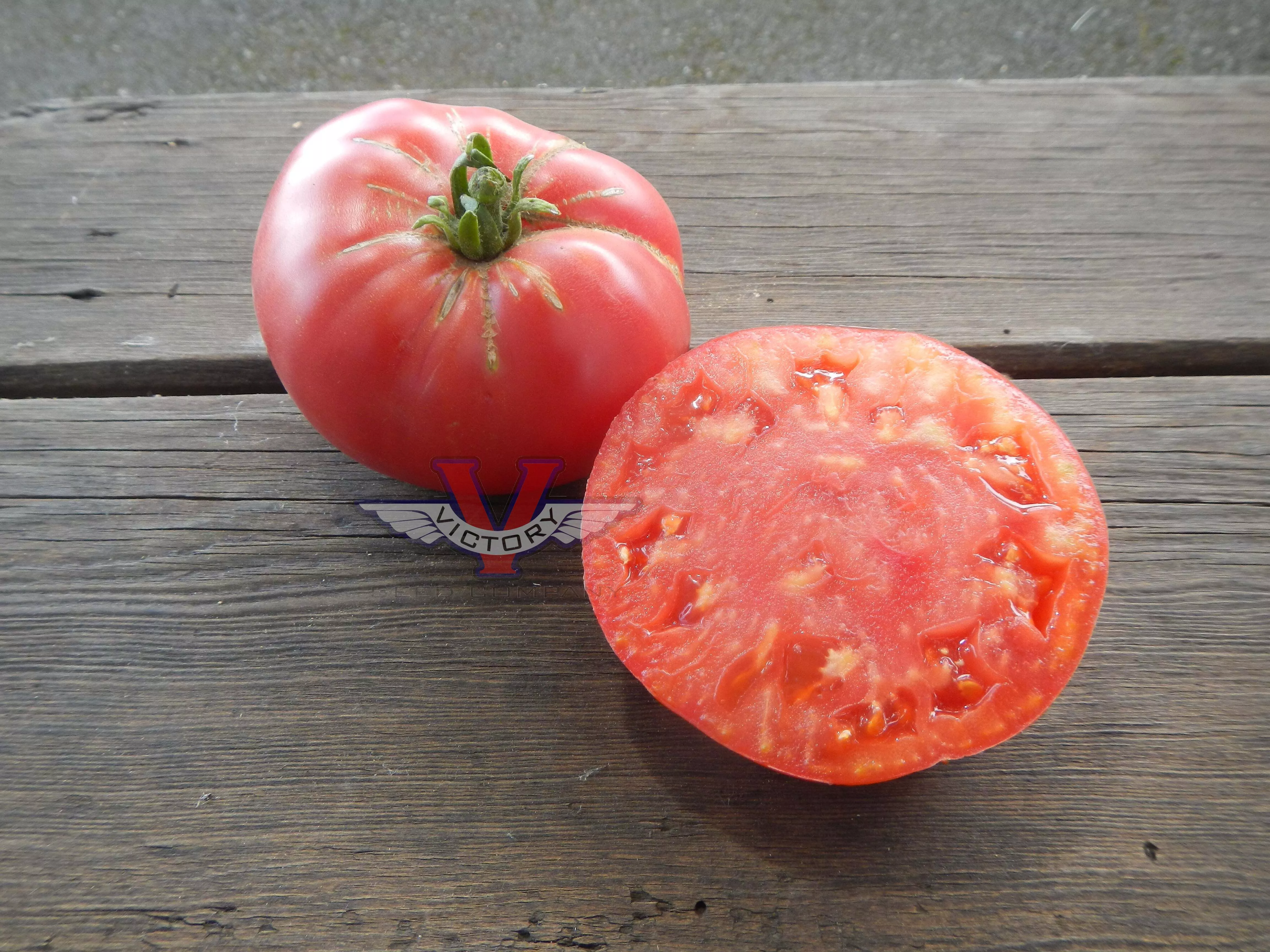 Aunt Gladys Tomato