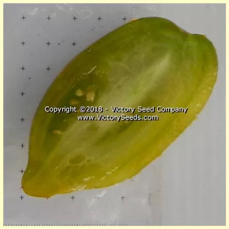 Dwarf Saucy Mary Tomato