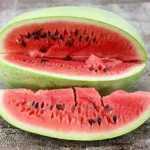 Charleston Gray No. 133 Watermelon