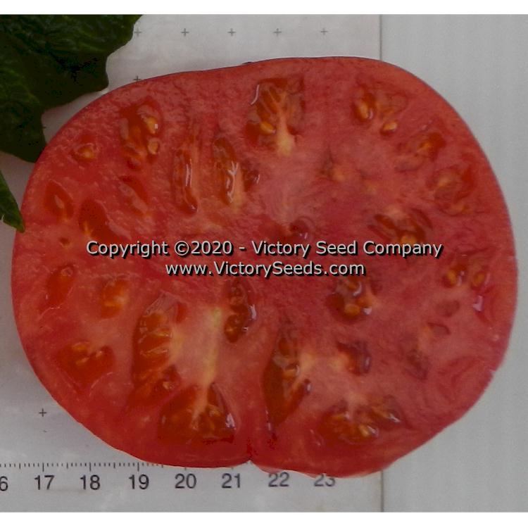 Dwarf Pink Livija Tomato